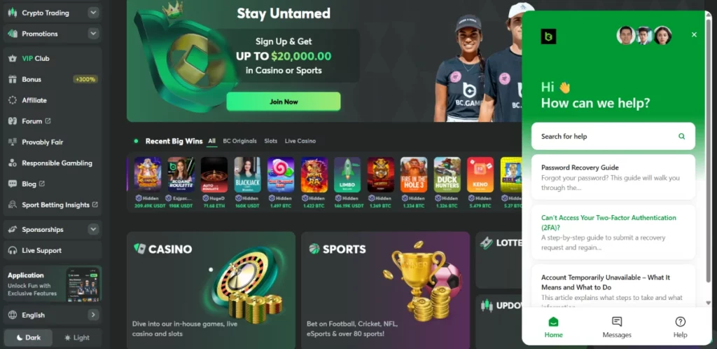 BC Game Support