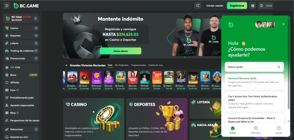 Problemas Comunes de Inicio de Sesión y Solución de Problemas BC.Game